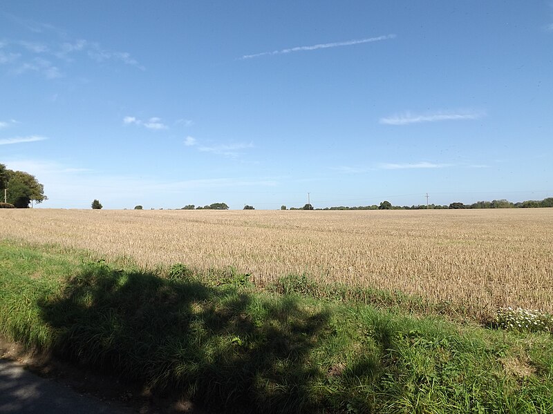 File:Farmland off Kerdiston Road - geograph.org.uk - 5171402.jpg