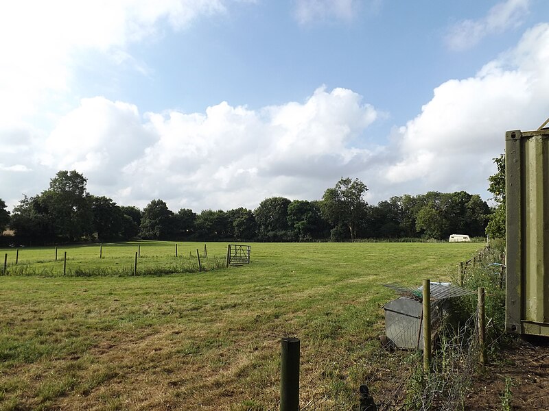 File:Field at Rusca Farm - geograph.org.uk - 5090877.jpg