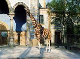 Zoologischer Garten Berlin