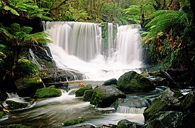 Horseshoe Falls Tasmania