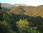 Roques Blanques (Anoia)