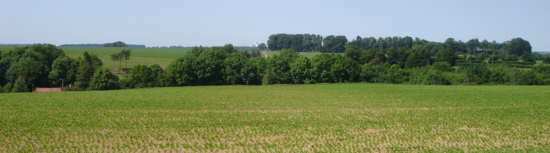 View of the Mouriez plateau – the Canche-Authie interfluve – "bout d'haut" lieu-dit down below.