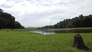 A landscape at Thattekad Bird Sanctuary