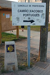 Camino portugués en Pontevedra.