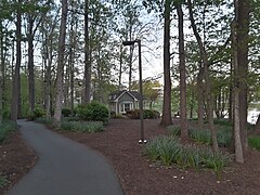 Dusk in the woods along the path that runs beside Mason Pond 3.jpg