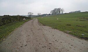 The road to Hollingley Farm, Denton - geograph.org.uk - 4388646.jpg