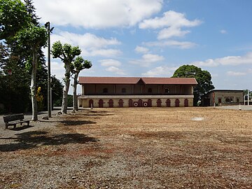 Les arènes.