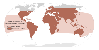 Map showing the approximate world distribution of snakes.