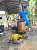 Thumbnail for File:A young guy handling the operation of the palm oil extracting machine.jpg