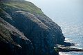 Cape St. Mary's Ecological Reserve