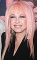 Cyndi Lauper op 19 april 2017 geboren op 22 juni 1953