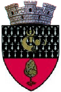 Wappen von Dolhasca