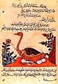 Imagen del Kitab al-Hayawan (Libro de los animales) de Al-Jahiz.