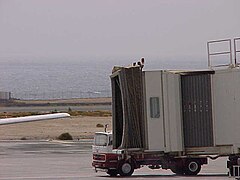 Pasarela del Aeropuerto de Fuerteventura.jpg