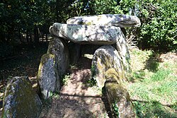 Image illustrative de l’article Dolmen de Lestrigniou