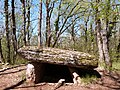 Dolmen du Bois del Rey