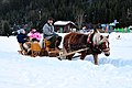 English: Sleigh ride Deutsch: Schlittenfahrt