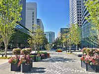 色とりどりの花々で装飾されたグランモールの通り道（桟橋の広場）