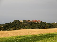 Konradsburg von Friedrichshohenberg (1).jpg