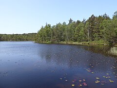 Surketjarnen E corner Vastergotland Sweden 1June2023.jpg