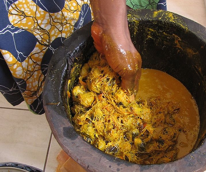 File:Palm oil - hand processing yellow vegetable fat from fruit pulp of African Oil Palm - Elaeis guineensis.jpg