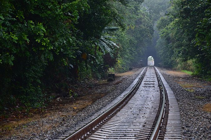 Panama Canal Railway between Colón and Ancón in Panama Photograph: Ivo Kruusamägi