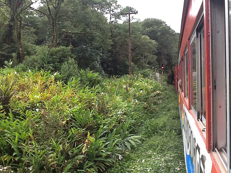 File:Passeio Trem Curitiba - Morretes - Curitiba PR - panoramio (9).jpg