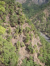 Caldera de Taburiente, La Palma