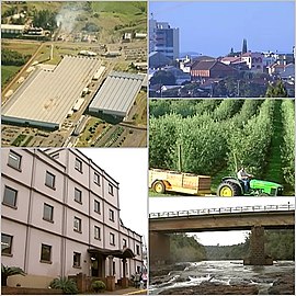 Do alto, da esquerda para a direita: vista panorâmica de um dos prédios da filial da John Deere, vista da cidade, um homem trabalhando com um trator no interior, Biblioteca e Museu Municipal e o Rio Buricá.