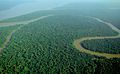 Image 23The Amazon rainforest alongside the Solimões River, a tropical rainforest. These forests are the most biodiverse and productive ecosystems in the world. (from Forest)