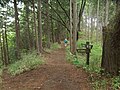 軍刀利神社口と合流