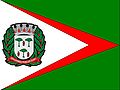 Bandeira de Espírito Santo do Pinhal