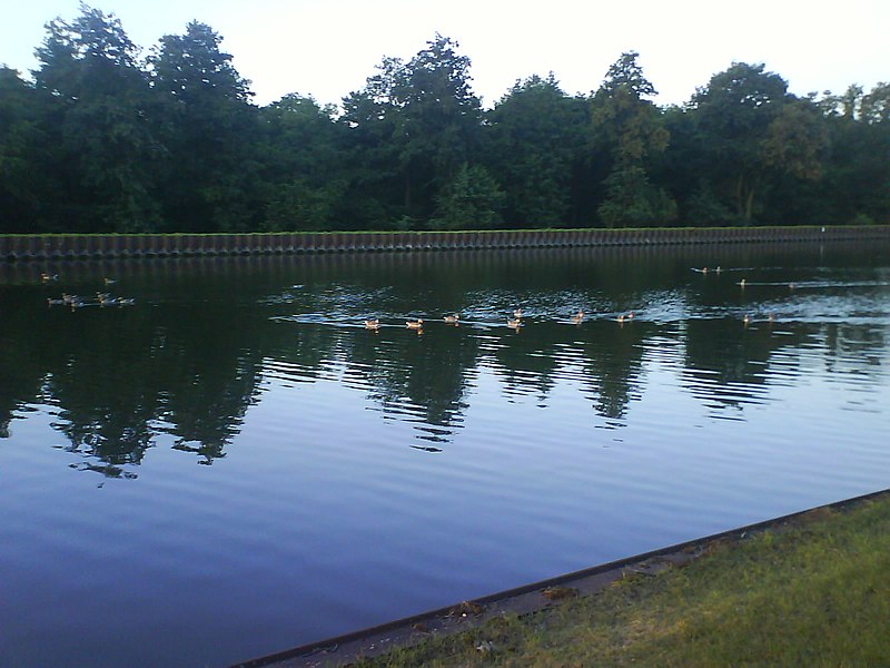 File:Friedliche Idylle am Rhein-Herne-Kanal nähe Herne - panoramio.jpg