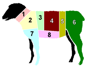 חלקי הכבש לפי החיתוך הנהוג בבריטניה: 1. צוואר 2. כתף 3. צלעות 4. צלעות אחוריות 5. אוכף 6. שוק 7. רגל קדמית (אוסובוקו) 8. חזה