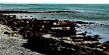 The Burren - Ballyvaghan - R477 - Atlantic Coastline - geograph.org.uk - 3074989.jpg