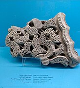 Zayyanid piece of ornament originating from the Madrasa Ouled El Imam.jpg