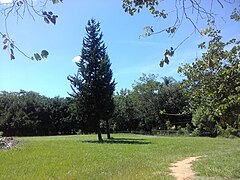 Jardín Botánico de Asunción