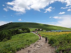 ニッコウキスゲが咲き誇る車山肩