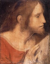 Giovanni Antonio Boltraffio, Tête de saint Jacques le Mineur.