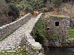 Pont génois de Piana sur la Tartagine.