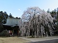 栄福寺