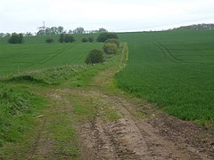 Farm Track near Burton Salmon - geograph.org.uk - 2022366.jpg