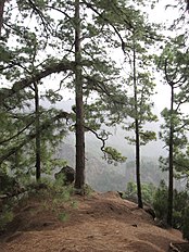 Caldera de Taburiente, La Palma