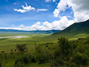 Videxo ke Ngorongoro