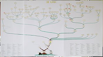 Genealogia della famiglia de Lama