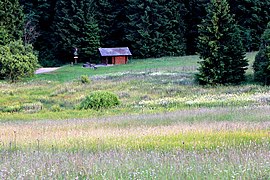 Ebertswiese Wanderhütte.jpg