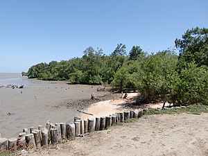 Strand bij Organabo