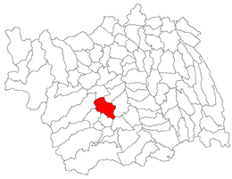 Bârsănești – Mappa