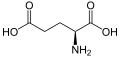 L-Glutamic acid (Glu / E)