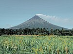 Thumbnail for File:Mayon at Rice fields.jpg